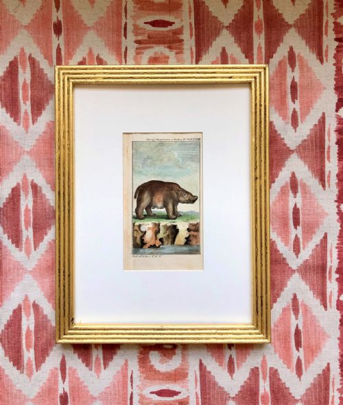 A PAIR OF RARE 18TH CENTURY ENGRAVINGS OF HIPPO BY BUFFON - ADDITIONAL PHOTO 1