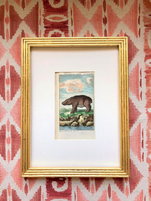 A PAIR OF RARE 18TH CENTURY ENGRAVINGS OF HIPPO BY BUFFON - ADDITIONAL PHOTO 2