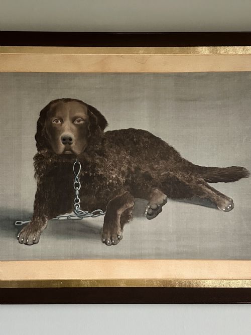 VICTORIAN PORTRAIT OF A CURLY COATED RETRIEVER CIRCA 1900 - ADDITIONAL PHOTO 1