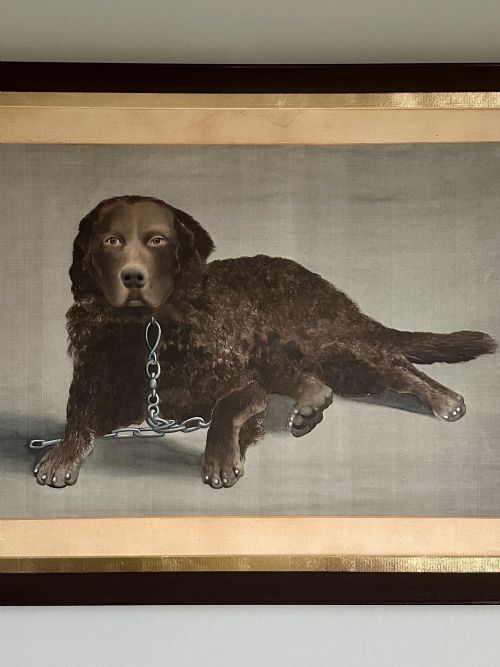 VICTORIAN PORTRAIT OF A CURLY COATED RETRIEVER CIRCA 1900 - ADDITIONAL PHOTO 2