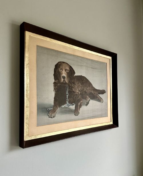 VICTORIAN PORTRAIT OF A CURLY COATED RETRIEVER CIRCA 1900 - ADDITIONAL PHOTO 4
