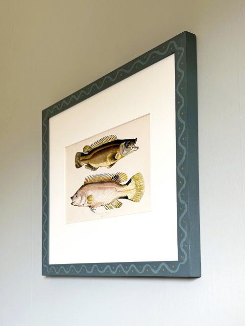 fig 2. A framed 19th-century scientific engraving depicting two fish on a cream mount within a blue painted frame with wave patterns.