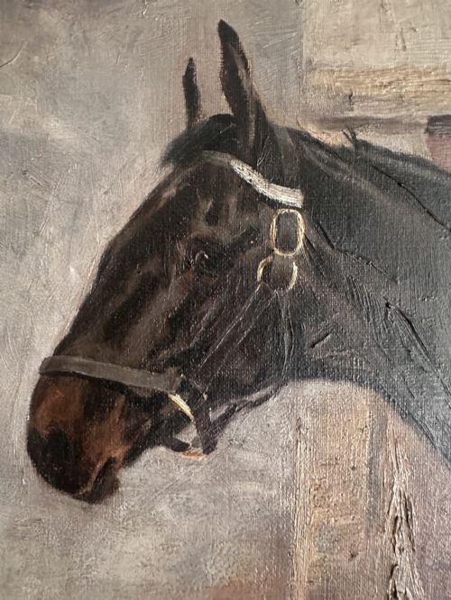 MAGNIFICENT 19TH C EQUINE PORTRAIT OF VAGRANT BY FRED FITZPATRICK DATED 1896 PROVENANCE TO REGINALD HERBERT SPENCE'S GALLERY DUBLIN - ADDITIONAL PHOTO 1