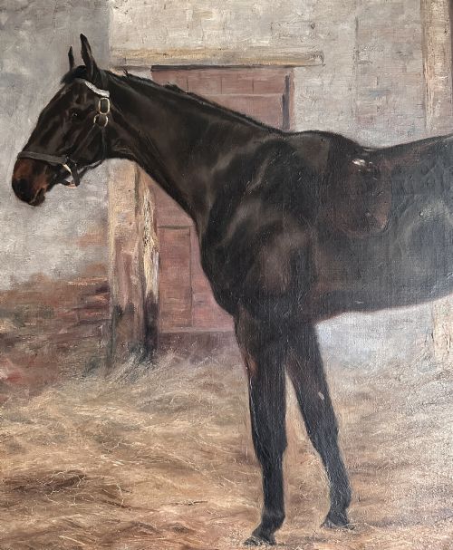 MAGNIFICENT 19TH C EQUINE PORTRAIT OF VAGRANT BY FRED FITZPATRICK DATED 1896 PROVENANCE TO REGINALD HERBERT SPENCE'S GALLERY DUBLIN - ADDITIONAL PHOTO 2