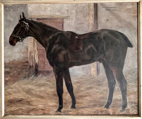 MAGNIFICENT 19TH C EQUINE PORTRAIT OF VAGRANT BY FRED FITZPATRICK DATED 1896 PROVENANCE TO REGINALD HERBERT SPENCE'S GALLERY DUBLIN - ADDITIONAL PHOTO 6