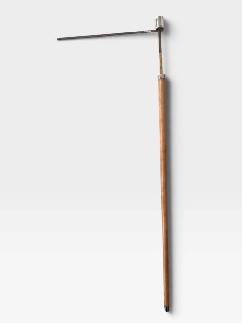 fig 1. An antique malacca wood walking cane featuring a polished silver collar and cap.