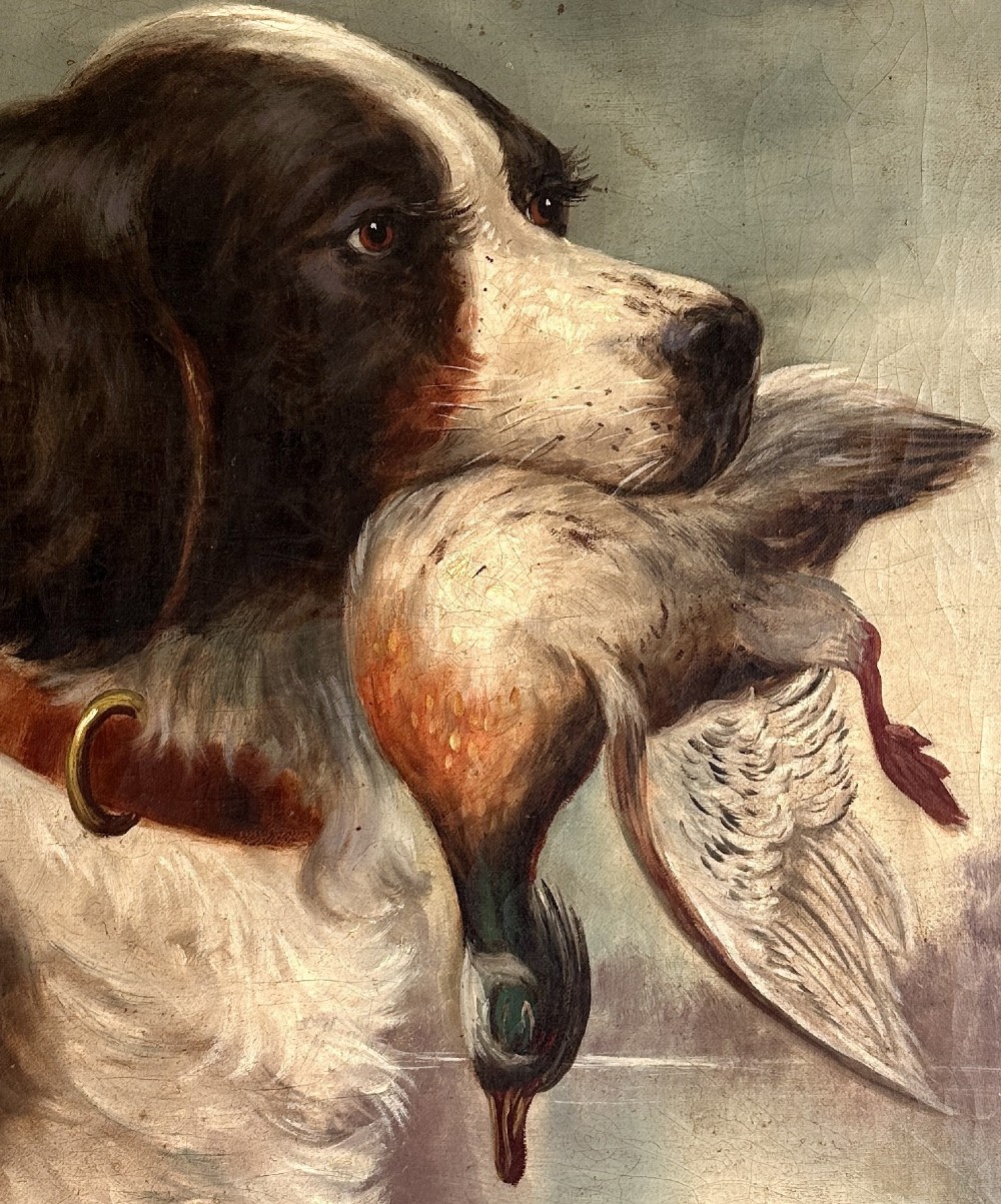 An early 20th-century oil painting depicting a brown and white gundog holding a mallard drake in its mouth, presented within an ornate gilt frame. View III