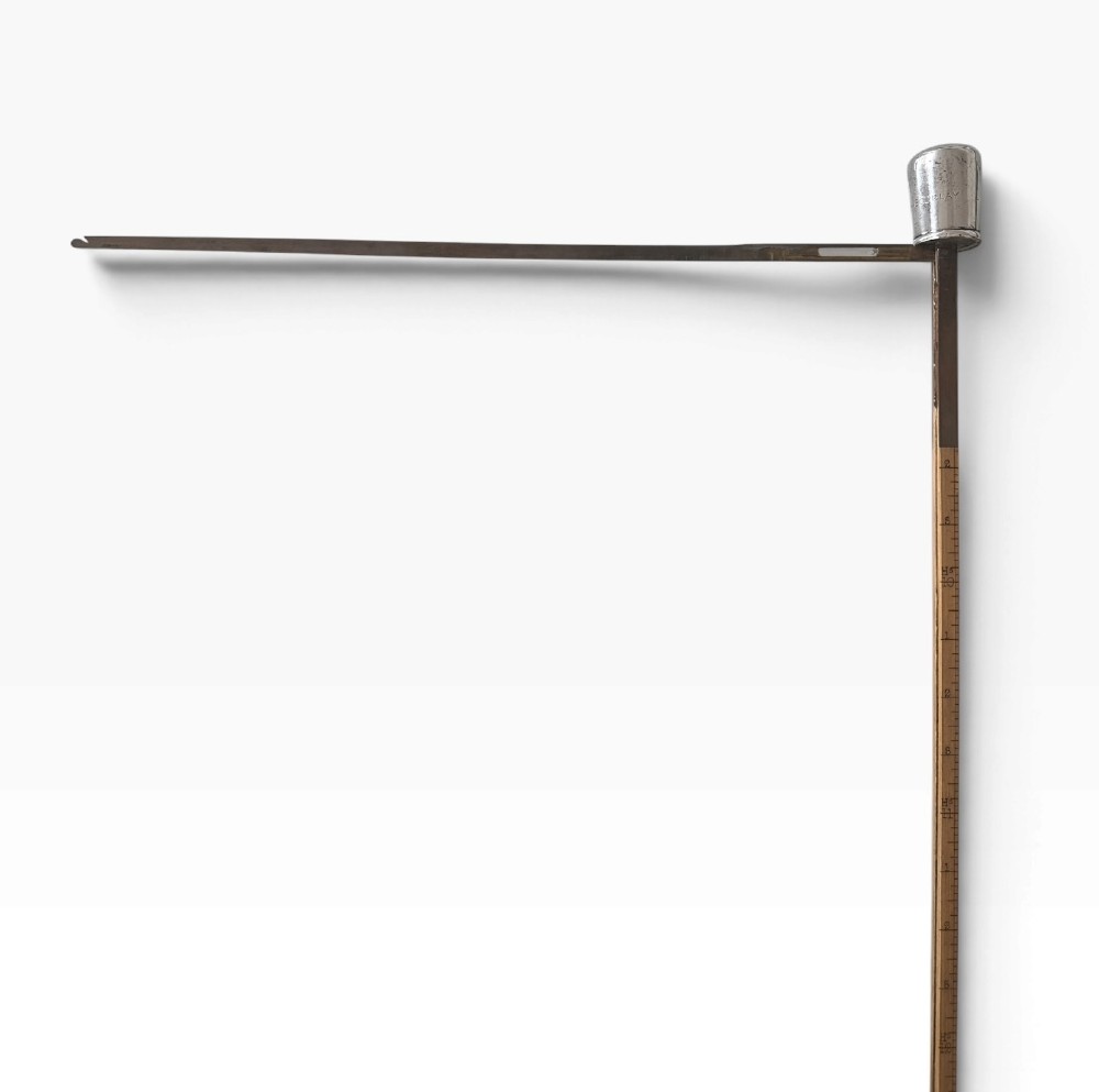 An antique malacca wood walking cane featuring a polished silver collar and cap. View VII