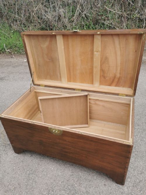 LARGE CAMPHOR TRUNK - ADDITIONAL PHOTO 5