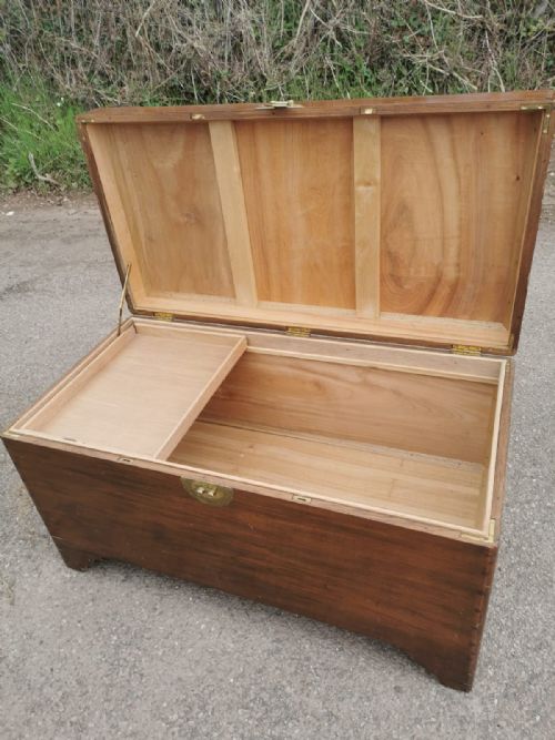 LARGE CAMPHOR TRUNK - ADDITIONAL PHOTO 6