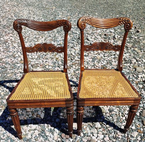 antique pair of rosewood and berger's seat side chairs by gillows - CATEGORY: ANTIQUE CHAIRS - DATED REGENCY