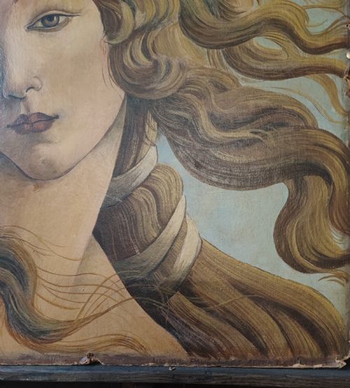 BEAUTIFUL PORTRAIT OF BOTICCELI'S VENUS - ADDITIONAL PHOTO 8