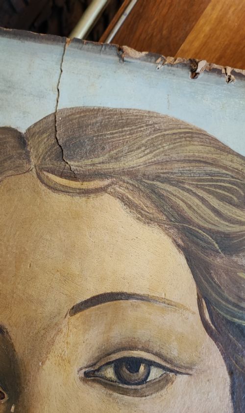 BEAUTIFUL PORTRAIT OF BOTICCELI'S VENUS - ADDITIONAL PHOTO 9
