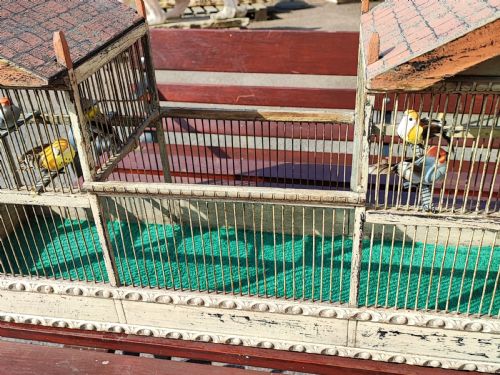 AN ANTIQUE FOLK ART PAVILION BIRD CAGE - ADDITIONAL PHOTO 6