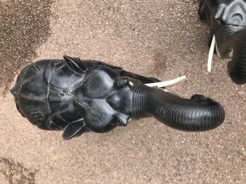 ANTIQUE EBONY AND BONE ELEPHANTS OF LARGE SIZE - ADDITIONAL PHOTO 4