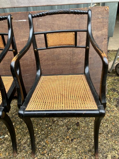 AN ANTIQUE PAIR OF EBONISED AND CANE ELBOW CHAIRSIN THE REGENCY STYLE - ADDITIONAL PHOTO 6