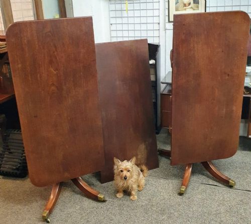 A FINE REGENCY MAHOGANY 2 PILLAR DINING TABLE - ADDITIONAL PHOTO 2