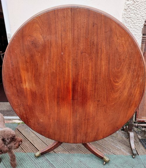 REGENCY MAHOGANY CIRCULAR TILT TOP DINING TABLE - ADDITIONAL PHOTO 1