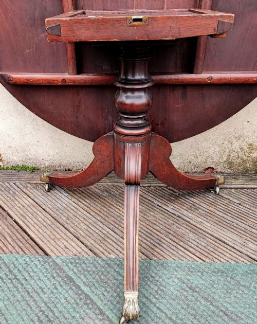 REGENCY MAHOGANY CIRCULAR TILT TOP DINING TABLE - ADDITIONAL PHOTO 3