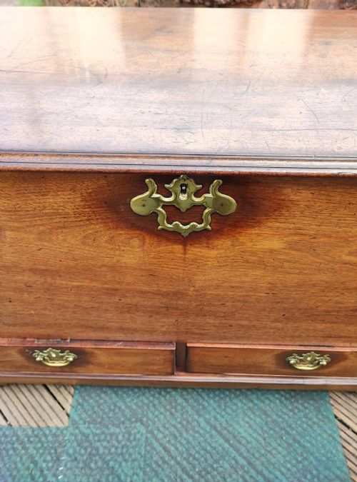 A FINE MAHOGANY GEORGE III SILVER OR HALL TRUNK - ADDITIONAL PHOTO 10