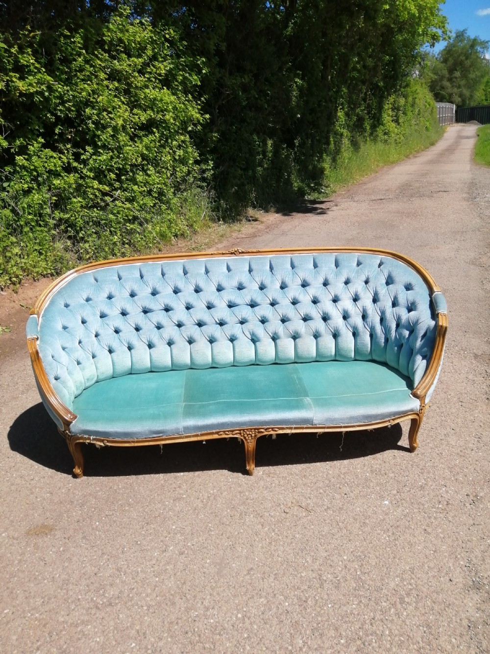 Antique French carved sofa  View IV