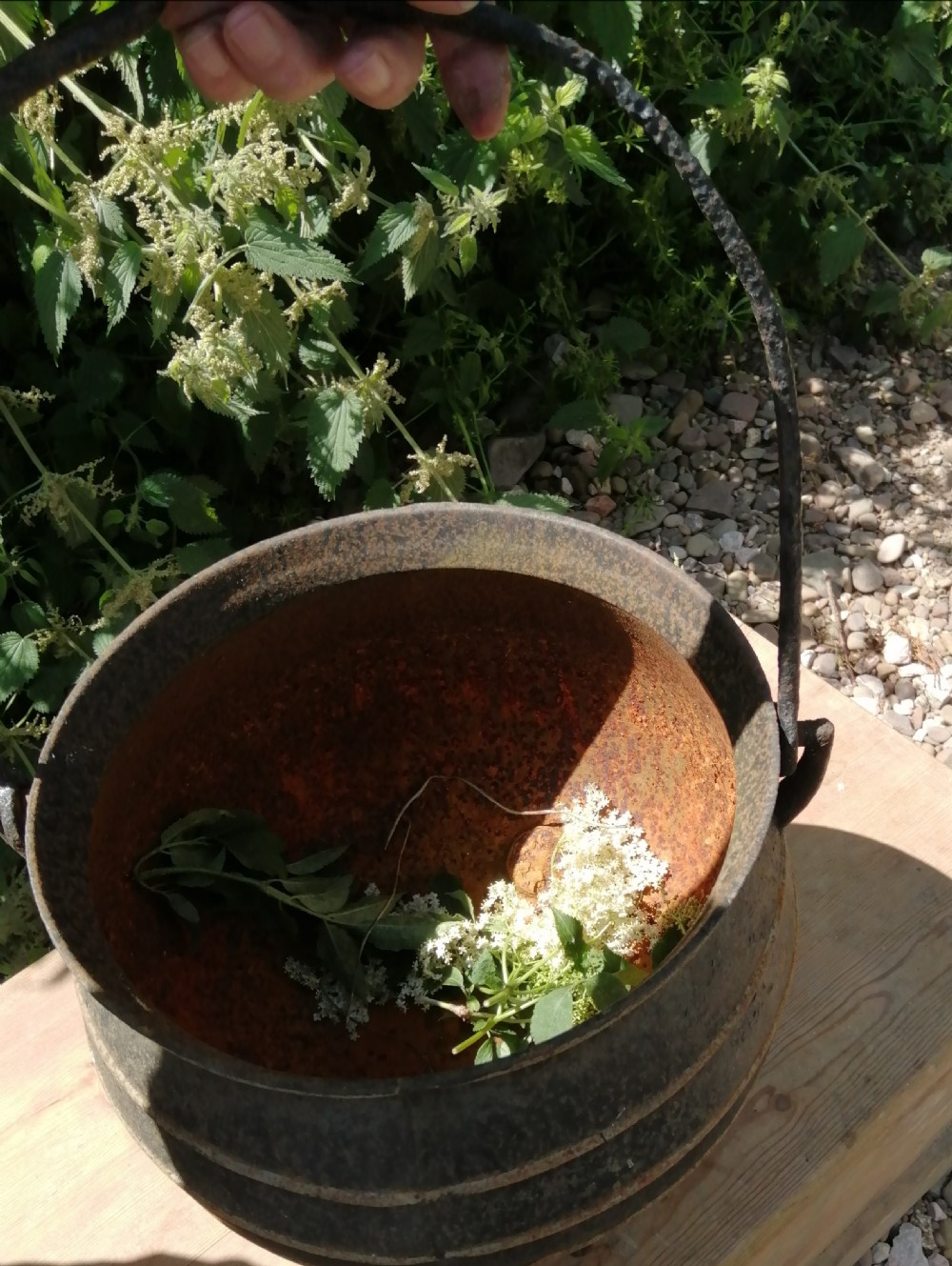 victorian cast iron cauldron View III