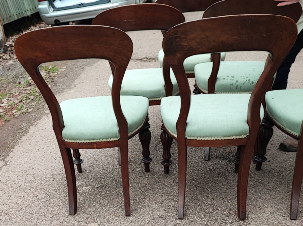 A set of six Victorian balloon back dining chairs made of dark mahogany wood with soft green upholstered seats. View IV