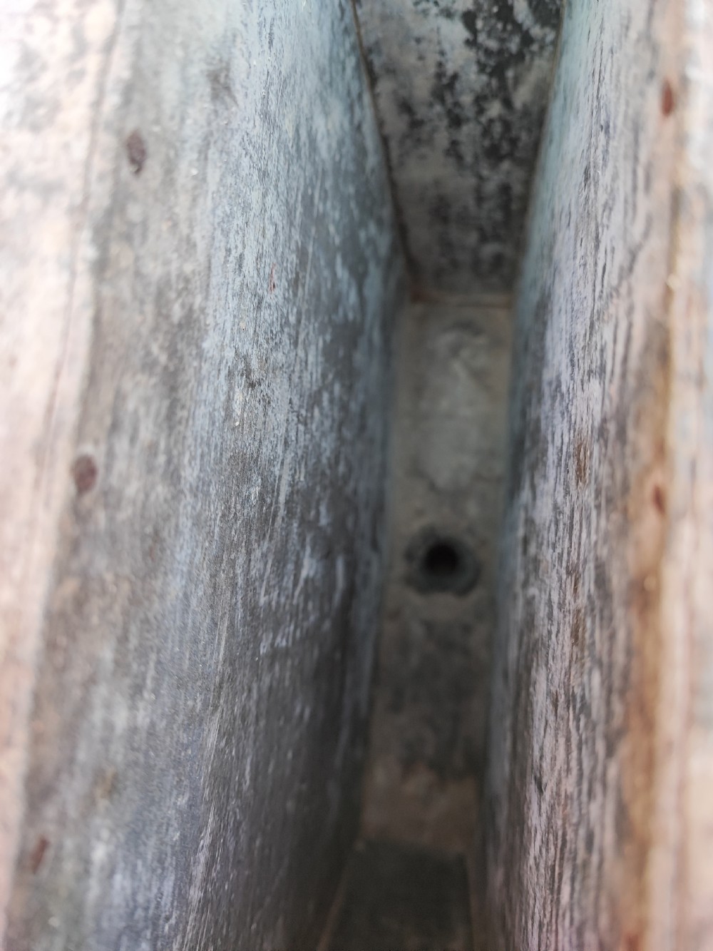 William IV mahogany wine cooler. london maker View XXI