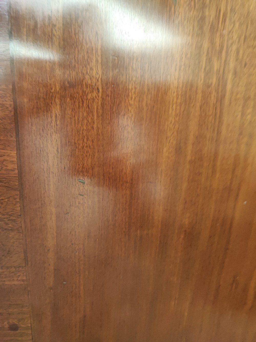 A fine regency cross banded mahogany dining table. View VIII