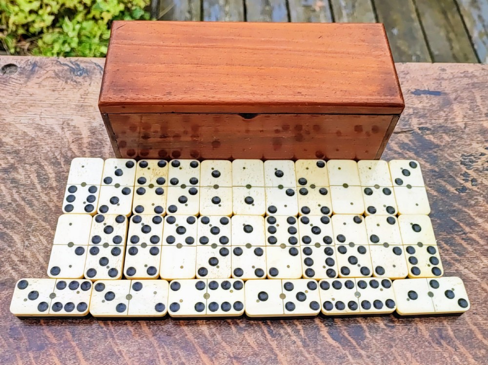 A full set of Victorian bone and ebony dominoes arranged in rows on a wooden surface in front of a fitted rectangular wooden box.