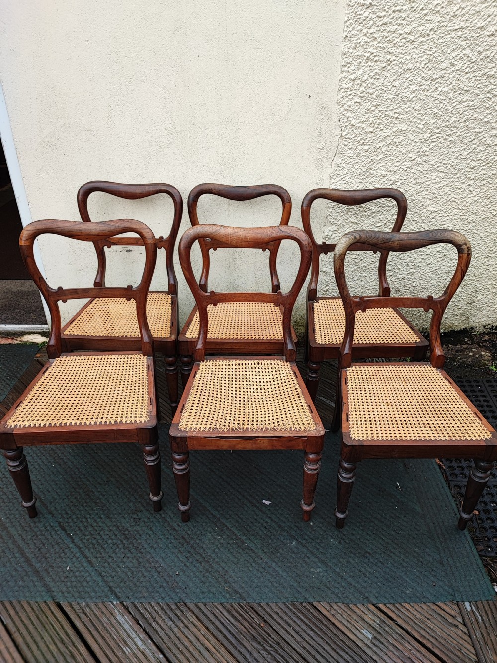 A set of six Regency rosewood dining chairs featuring swept open backrests, turned front legs, and woven natural cane seats.