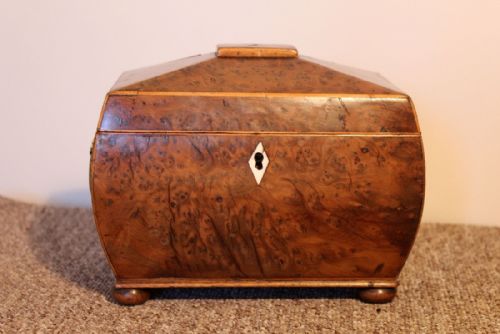 Regency Yew Wood Tea Caddy