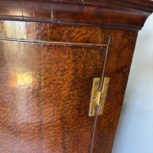 GEORGE III PLUM PUDDING MAHOGANY CORNER CUPBOARD - ADDITIONAL PHOTO 3