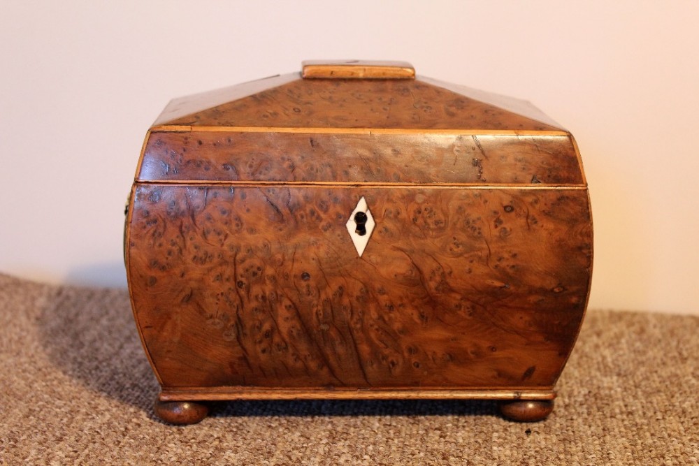 Regency Yew Wood Tea Caddy