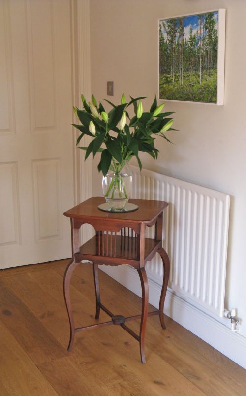 fig 1. An early twentieth-century mahogany two-tier occasional table featuring slender cabriole legs, vertical spindles on the lower shelf, and a central circular motif on the X-stretcher.