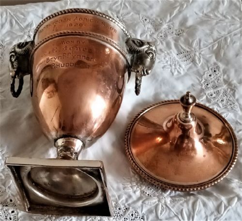 ANTIQUE ENGLISH GEORGIAN OLD SHEFFIELD PLATE MINIATURE CHESTNUT URN - ADDITIONAL PHOTO 4