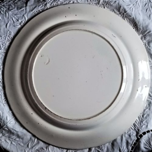 fig 1. Georgian 