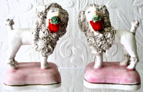 Pair of Victorian Staffordshire Miniature Poodles ~ James Dudson