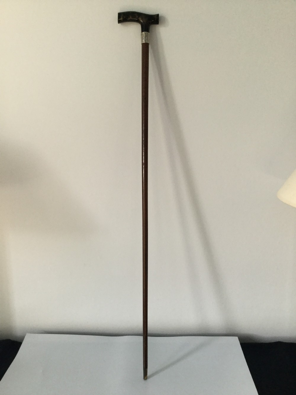 Edwardian silver, tortoiseshell and partridge wood stick cane London 1909 by Sangster View III