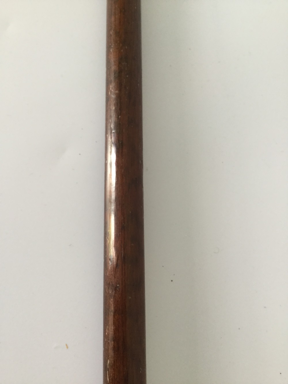 Edwardian silver, tortoiseshell and partridge wood stick cane London 1909 by Sangster View VIII