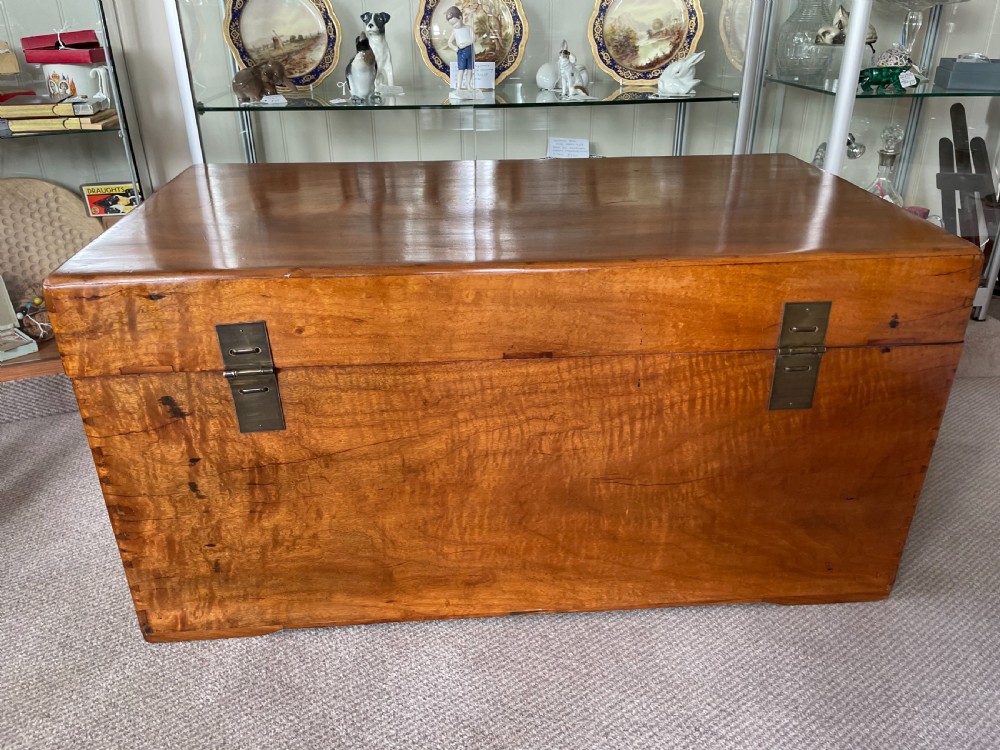 Late 19thc Oriental camphorwood trunk  View VII