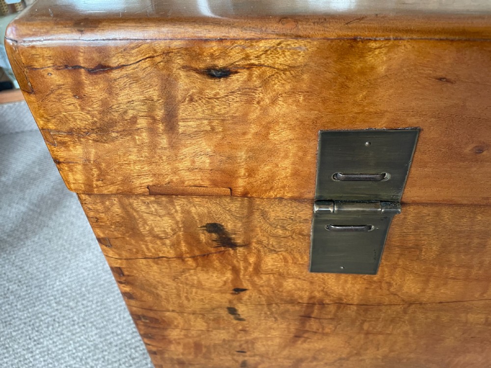 Late 19thc Oriental camphorwood trunk  View VIII
