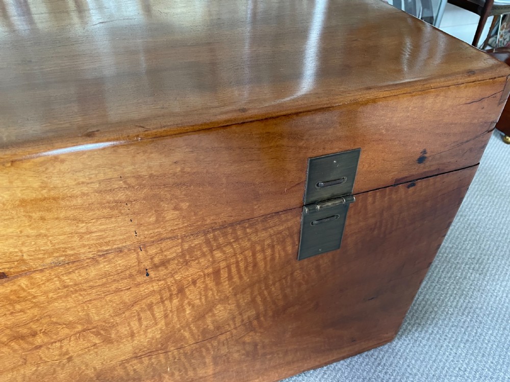 Late 19thc Oriental camphorwood trunk  View IX