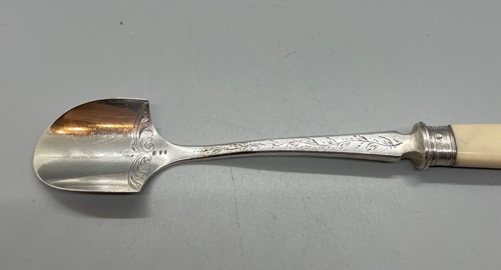 Victorian silver Stilton spoon London 1884 View IV
