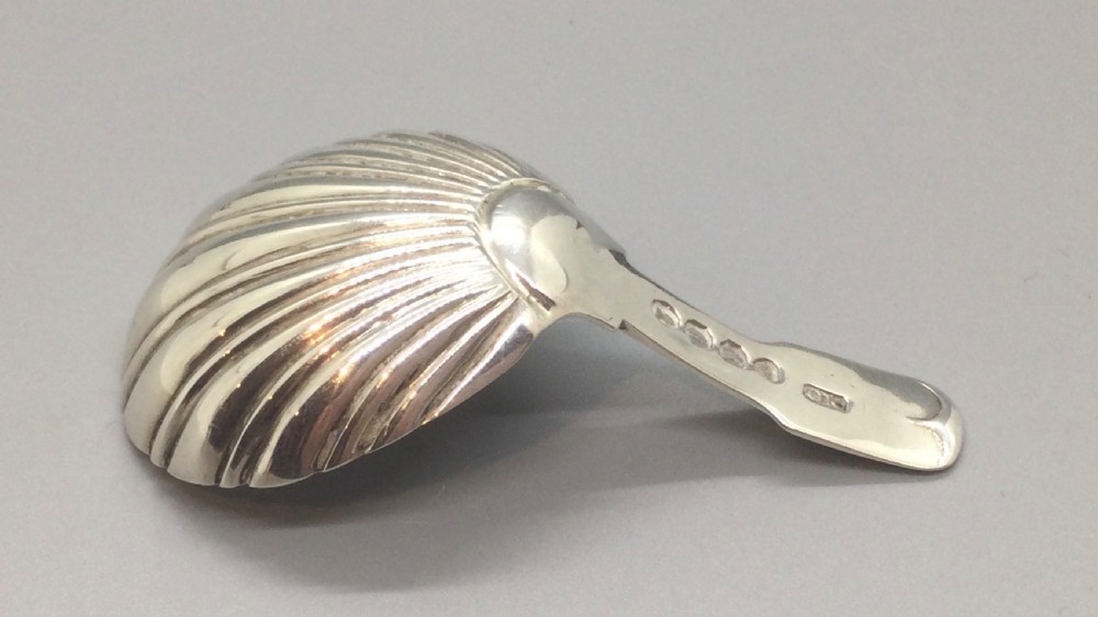 A Regency sterling silver caddy spoon featuring a fluted shell-shaped bowl and a short flat stem. View V