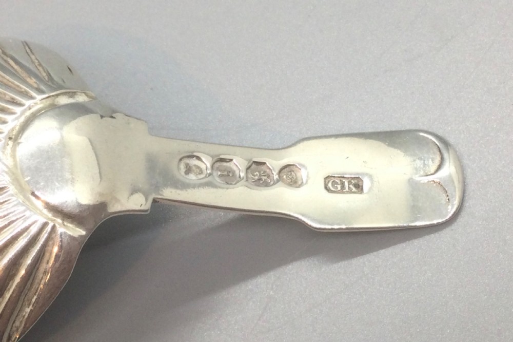 A Regency sterling silver caddy spoon featuring a fluted shell-shaped bowl and a short flat stem. View VII