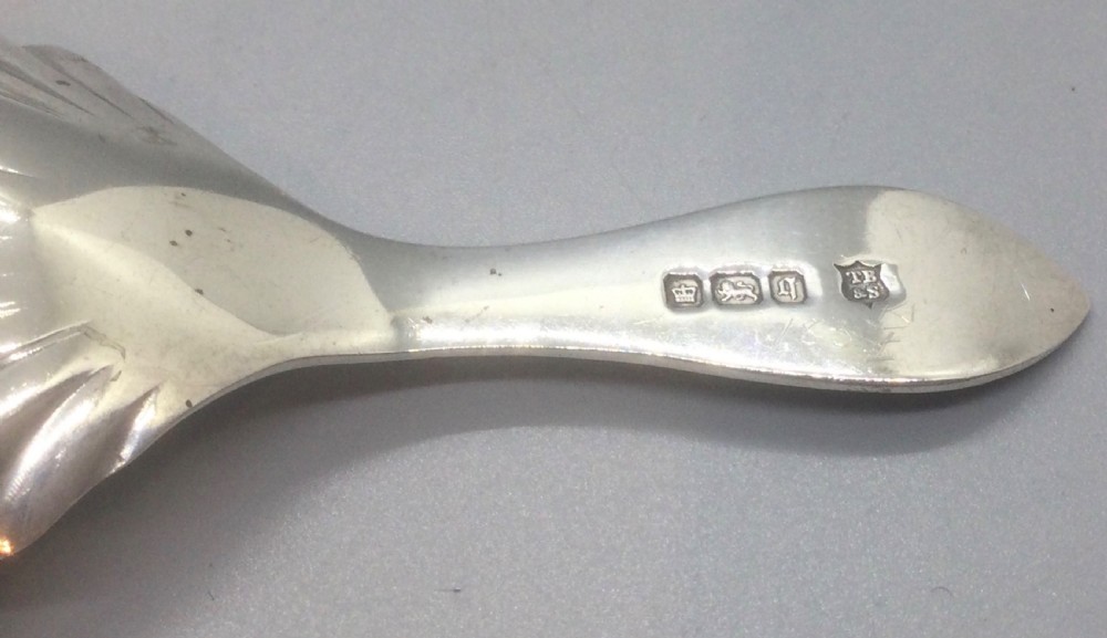 An Edwardian sterling silver caddy spoon featuring a shell-shaped fluted bowl and an engraved geometric handle. View VII