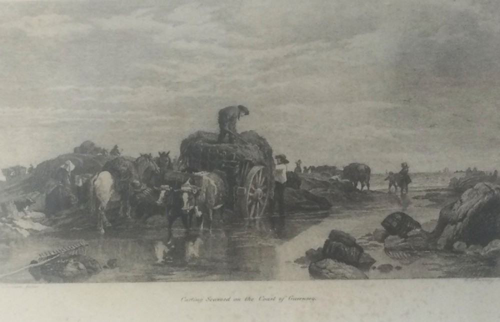 A framed nineteenth-century monochrome etching depicting figures and horse-drawn carts gathering seaweed on the Guernsey coastline. View II