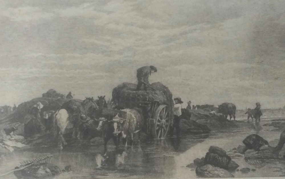 A framed nineteenth-century monochrome etching depicting figures and horse-drawn carts gathering seaweed on the Guernsey coastline. View III