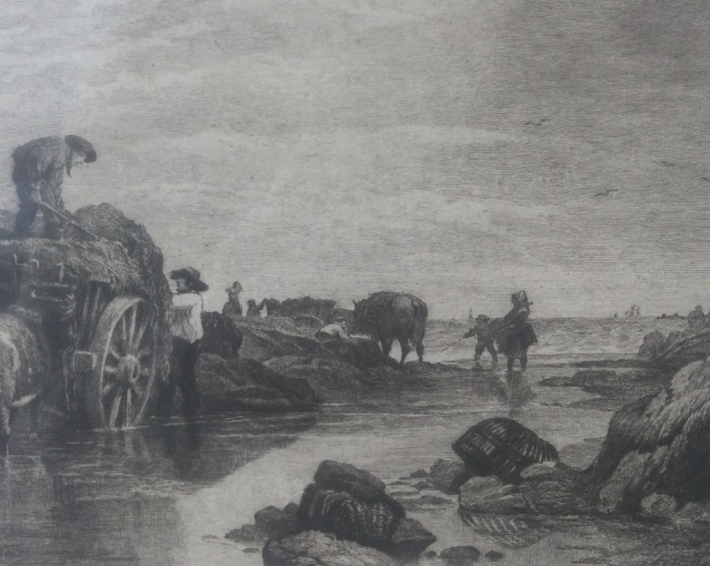 A framed nineteenth-century monochrome etching depicting figures and horse-drawn carts gathering seaweed on the Guernsey coastline. View VIII